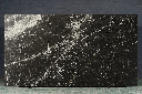Golden Black Marble
