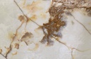 White Onyx
